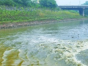 曲阳污水清运多少钱